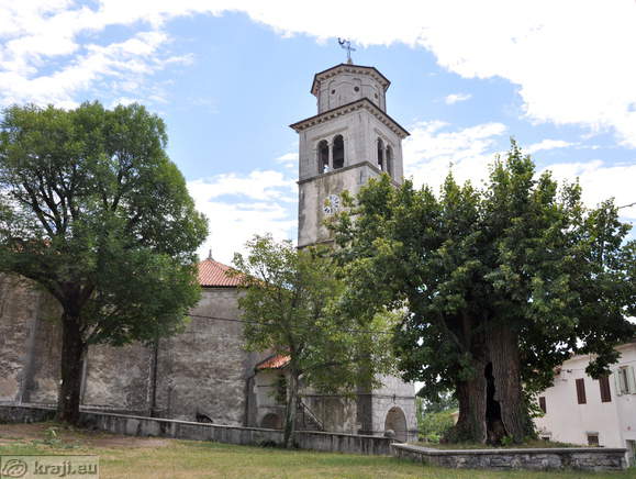 Stara lipa ob cerkvi