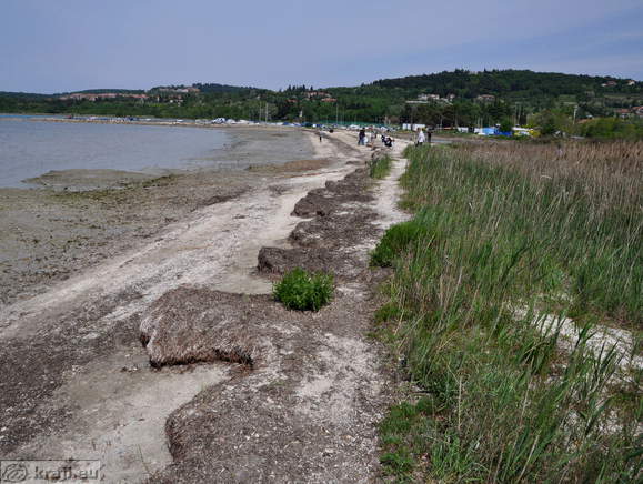Školjčna sipina s pokopališčem školjk