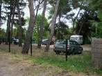 Camp - Belvedere - Camp 