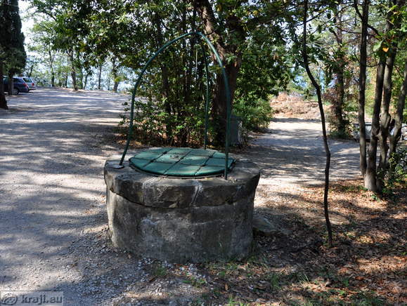 Debeli rtic (Dickheit)