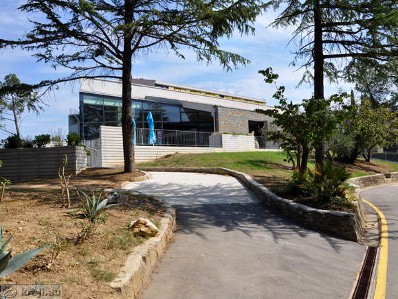 Debeli rtic (Dickheit)