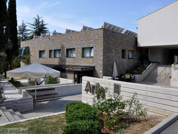 Debeli rtic (Dickheit)