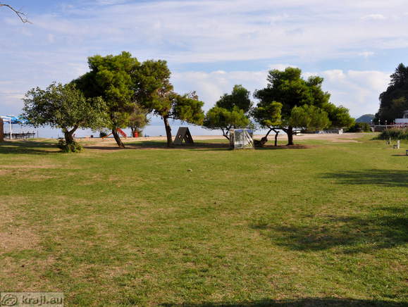 Grass near the beach