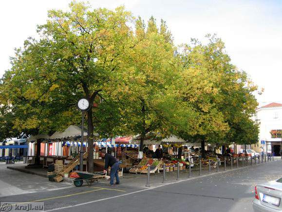 Izola - Trg republike (Platz der Republik)