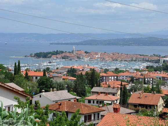 Izola