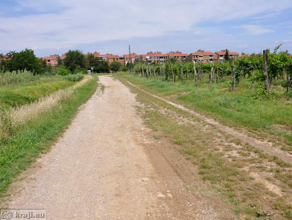 View of the south part of Izola