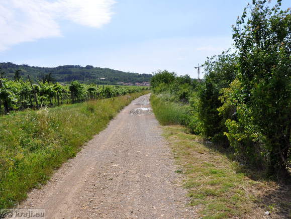 Macadam path near Izola
