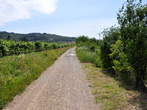 Izola-Portoroz - Macadam path near Izola 