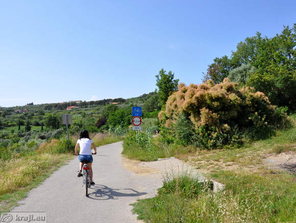Cycling route in the hinterland of the Slovenian coast