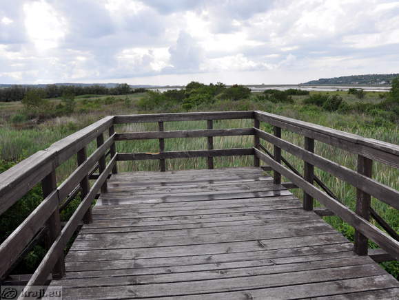 Opazovalna točka - Želva sklednica