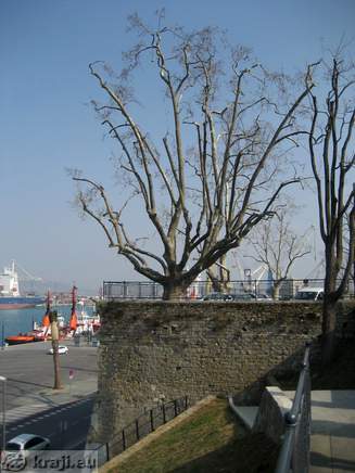 Koper - Belveder