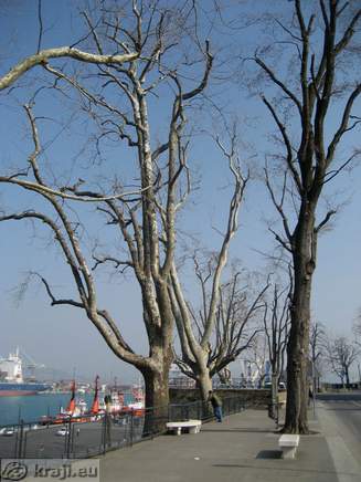 Koper - Belveder