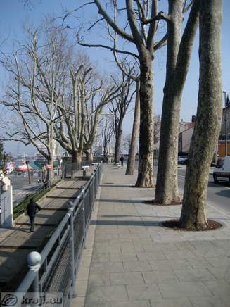 Koper - Belveder