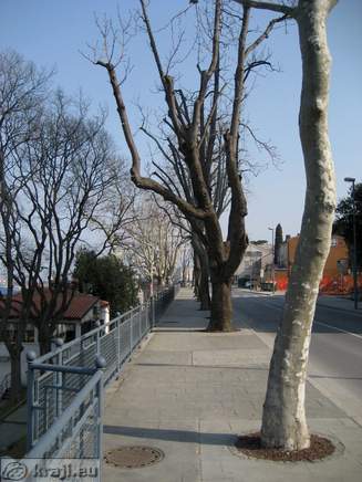 Koper - Belveder