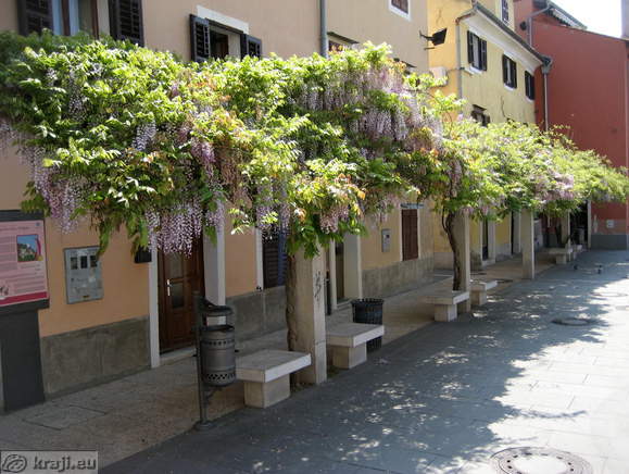 Carpaccio Square in Koper