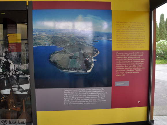 Vineyards in Slovenian Istria