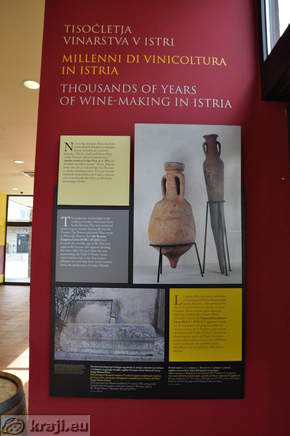 Thousands of years of wine-making in Istria