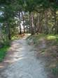 Strunjan Nature Reserve - Footpath in Strunjan Nature Reserve 