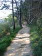 Strunjan Nature Reserve - Footpath in Strunjan Nature Reserve 