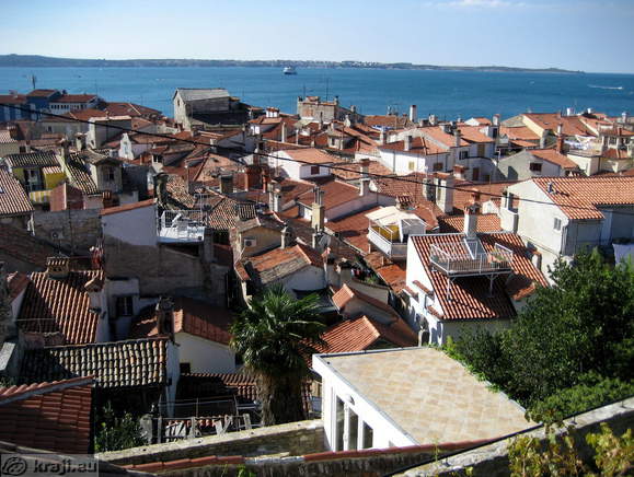 Squeezed houses in the old town centre of Piran