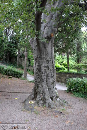 Portoroz - Park Rastelli