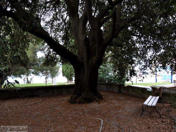 Portoroz - Park Rastelli