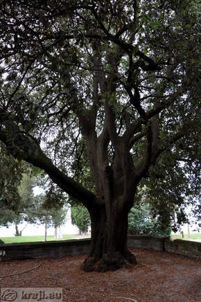 Portoroz - Park Rastelli