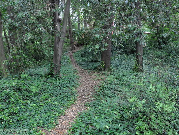 Portoroz - Park Rastelli