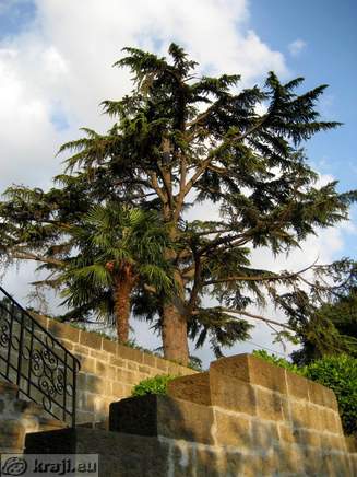 Portoroz - Villa Hl. Mark (San Marco) Portoroz - Villa Hl. Mark (San Marco)