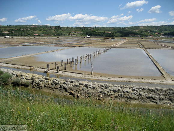 Secovlje Salina Nature Park