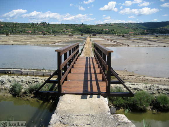 Path over wooden bridge