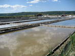 Demonstration of salt-making - View of the south part of salt-pans (Fontanigge) and Croatia 