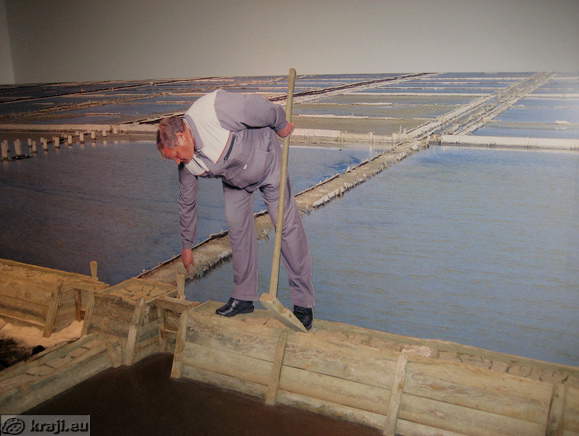 Secovlje Salt-pans in museum