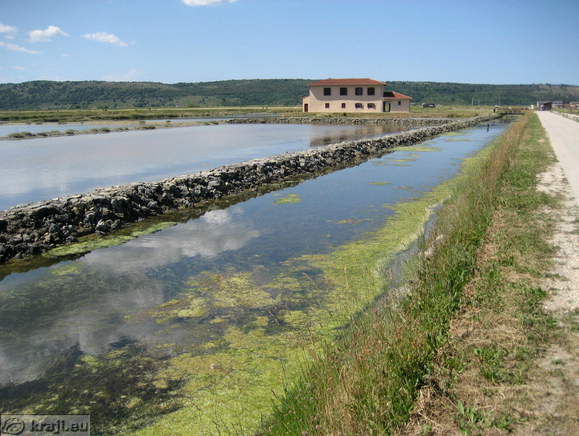 Cesta proti trgovini