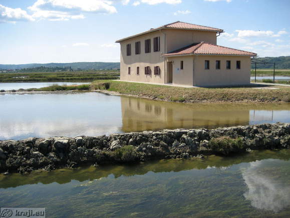 Trgovina Lera in razstavni prostor