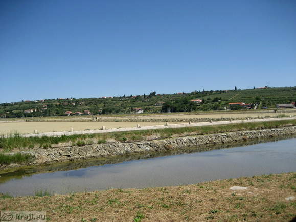 Polotok Seča v bližini Portoroža