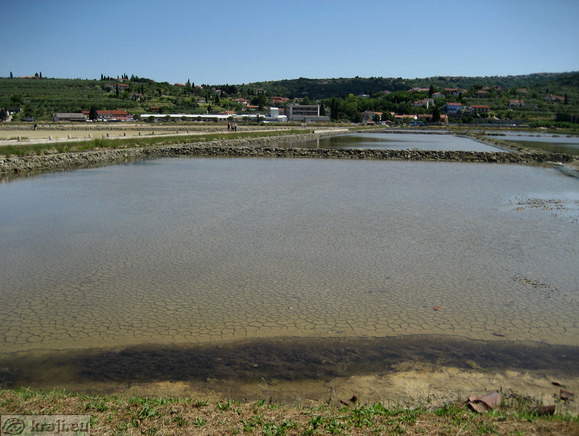 Krajinski park Sečoveljske soline