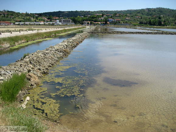 Secovlje Salina