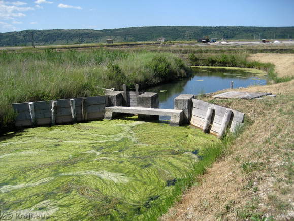 Channels in Nature Park