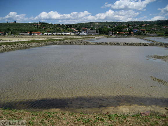 Nort side of the park - Lera