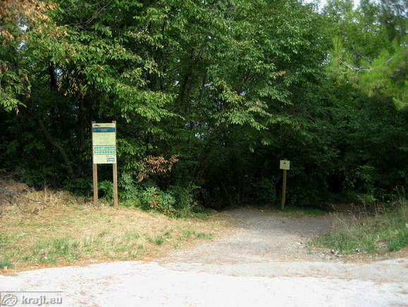 Strunjan - Bele skale