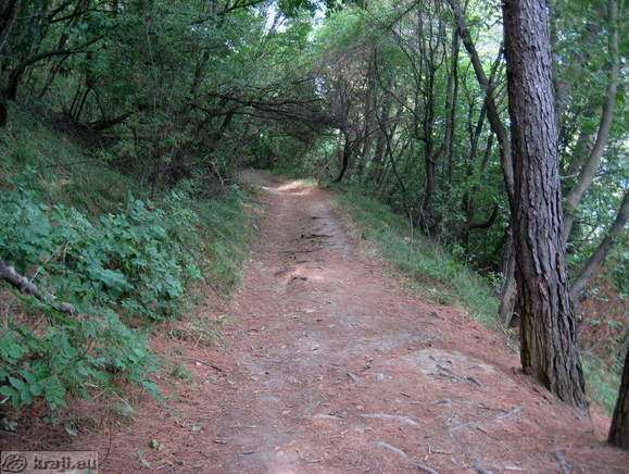 Strunjan - Bele skale