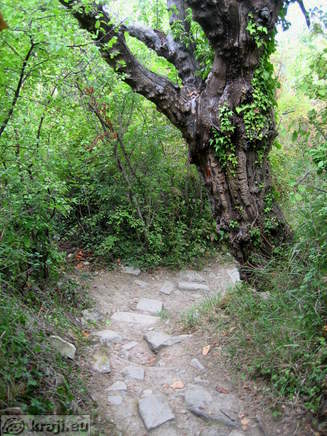 Strunjan - Bele skale