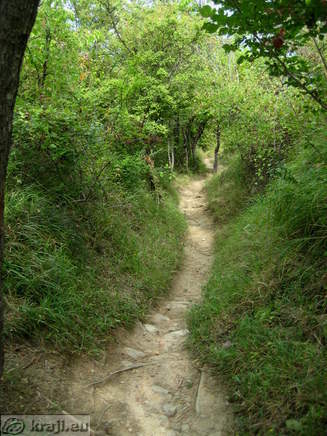 Strunjan - Bele skale