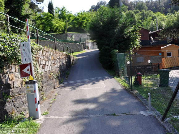 Road to the camp in Strunjan