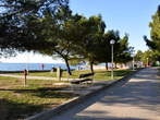 Beach (Bathing Area Talaso) - Promenade along the beach in Strunjan 