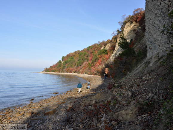 Naravna obala v Strunjanu