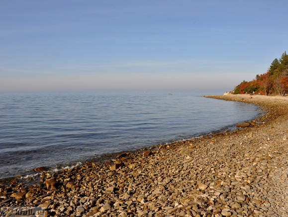 Divja plaža v Strunjanu