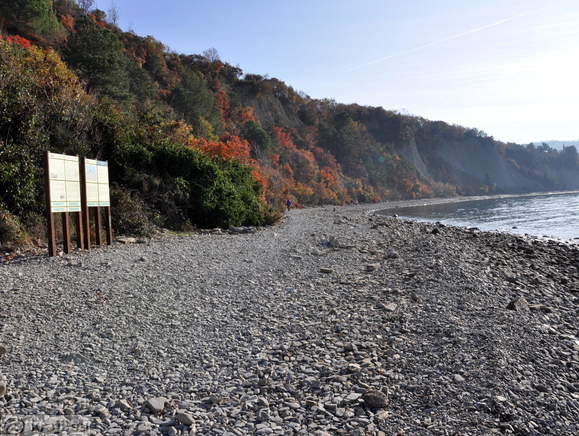 Dolga plaža v Strunjanu