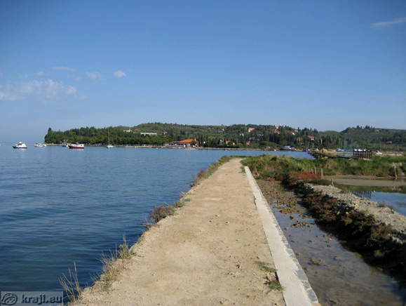 Pot med Strunjanskim zalivom in solinami